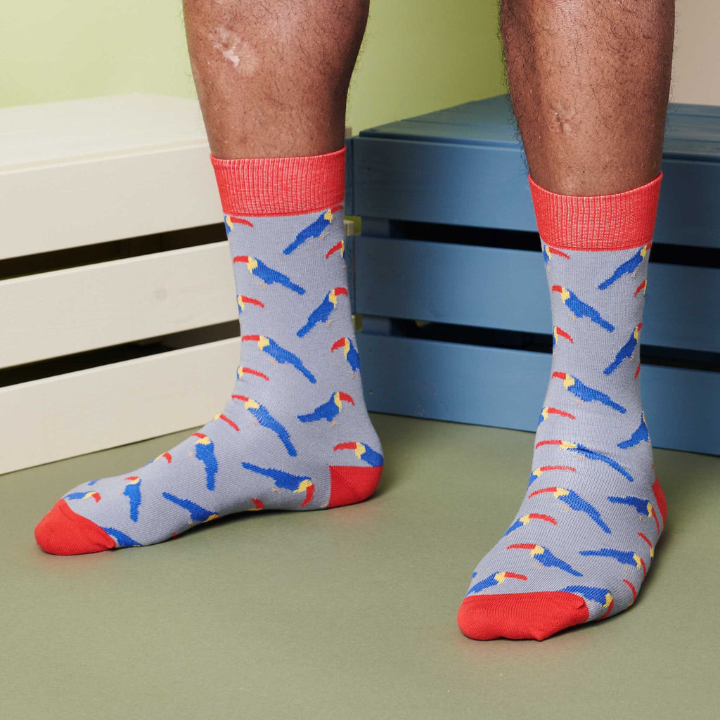 ANKLE SOCKS - cotton - men's - PARROT - light grey