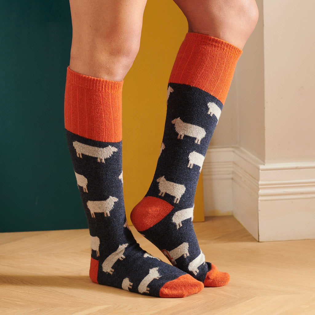 KNEE SOCKS - lambswool - women's - sheep - blue - CASE SIZE 3