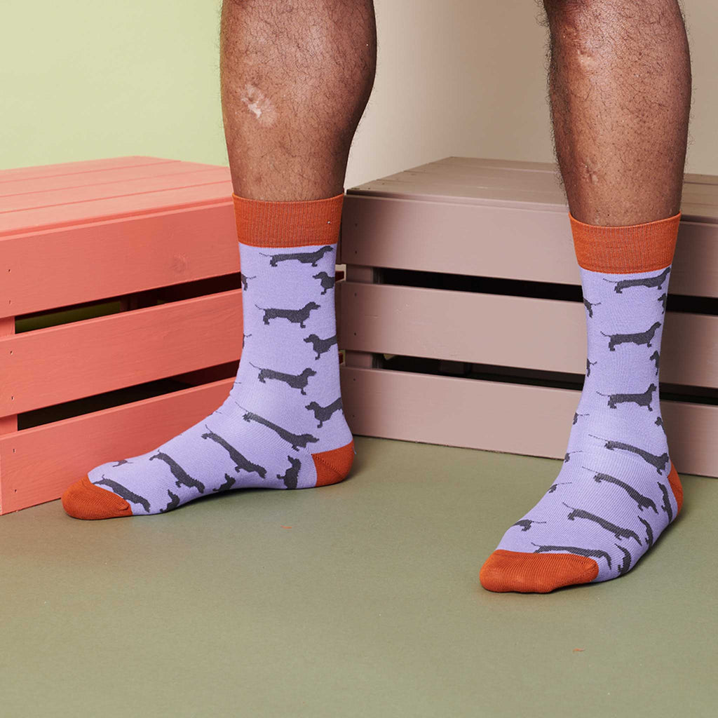 ANKLE SOCKS - cotton - men's - SAUSAGE DOG