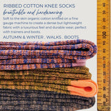 catherine tough ribbed cotton knee socks