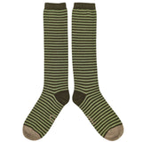 KNEE SOCKS - lambswool - women's - stripe - green - CASE SIZE 3