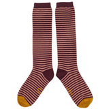 KNEE SOCKS - lambswool - women's - stripe - plum - CASE SIZE 3