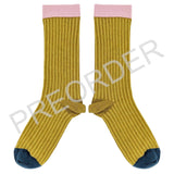 ANKLE SOCKS - cotton - women's - PINSTRIPE - yellow/pink - CASE SIZE 3
