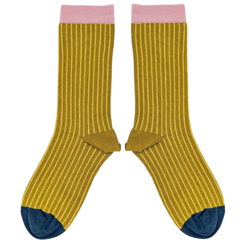 Pair of mustard yellow socks with pink cuffs and blue toes on a white background