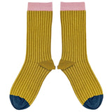 Pair of mustard yellow socks with pink cuffs and blue toes on a white background